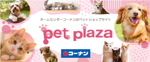 亀岡篠